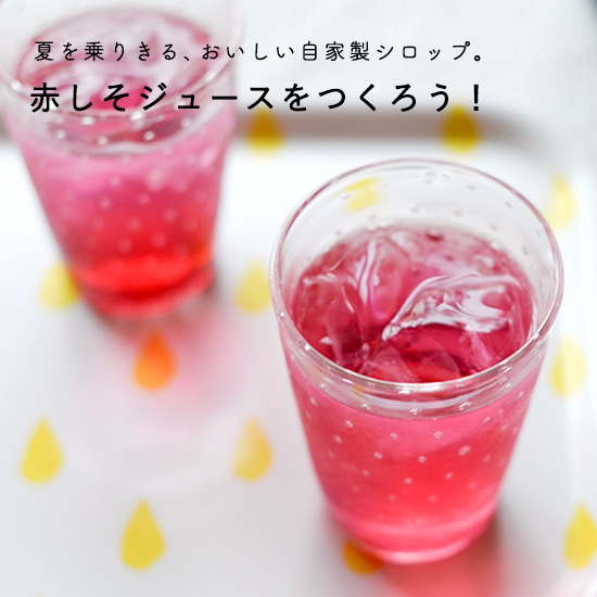 day1_blogtop5