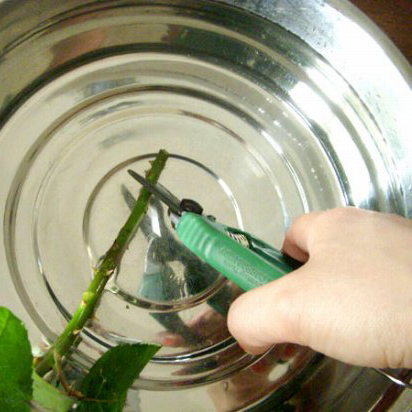 特集 花屋のまかない 第3話 買ったお花と長く付き合おう 北欧 暮らしの道具店