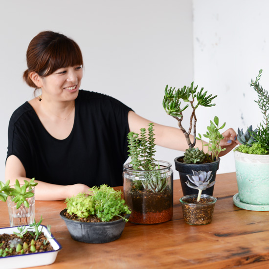 特集 多肉とくらす 第一話 フラワーアーティストのsocukaさんに 多肉植物の育て方きいてみました 北欧 暮らしの道具店