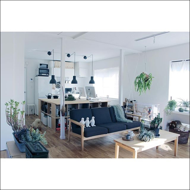 インスタグラムで見つけたおしゃれなグリーンインテリア 北欧 暮らしの道具店