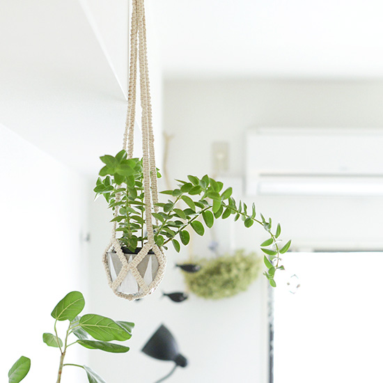 新商品 冬の室内でも グリーンを吊り下げて楽しめるマクラメ 北欧 暮らしの道具店