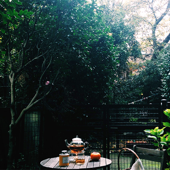 ネストローブのプレス滝口和代さんの 朝の3つの習慣 北欧 暮らしの道具店