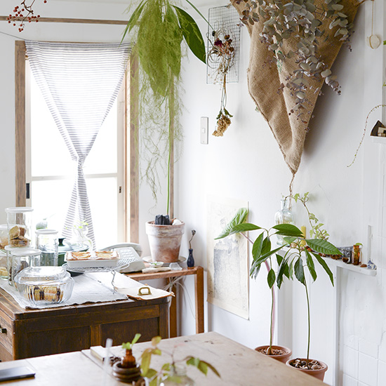 【私たちの常連店】京都「swiss coffee,plants」前編：のんびり気分を満たしてくれる場所。 北欧、暮らしの道具店