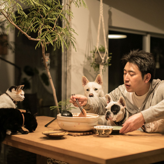 犬4匹と猫2匹 フレンチブルドッグ イングリッシュブルドッグが賑やかな多頭飼いの大家族の暮らし 北欧 暮らしの道具店