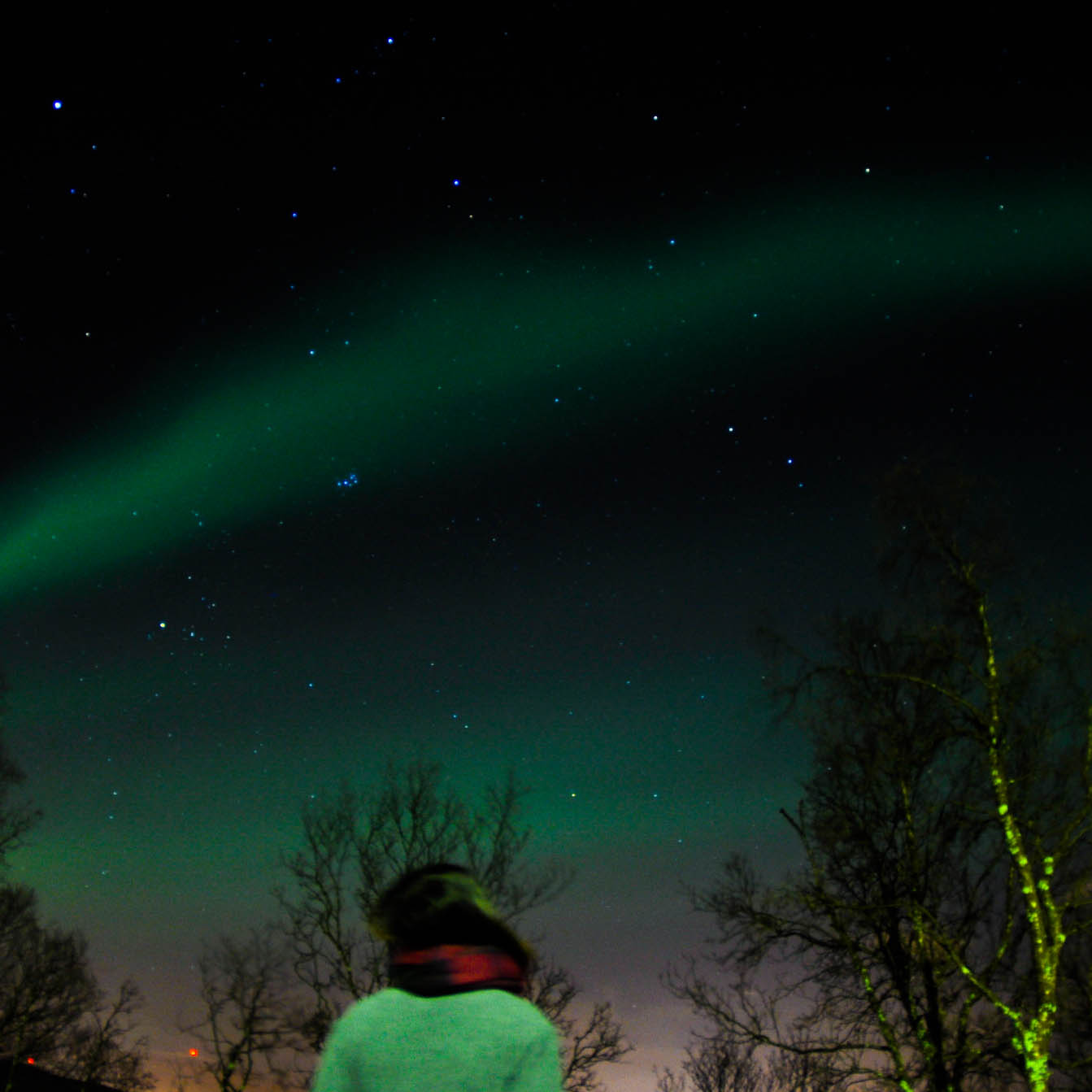 ノルウェー海外移住日記 オーロラ観測が日課 トロムソの冬 北欧 暮らしの道具店