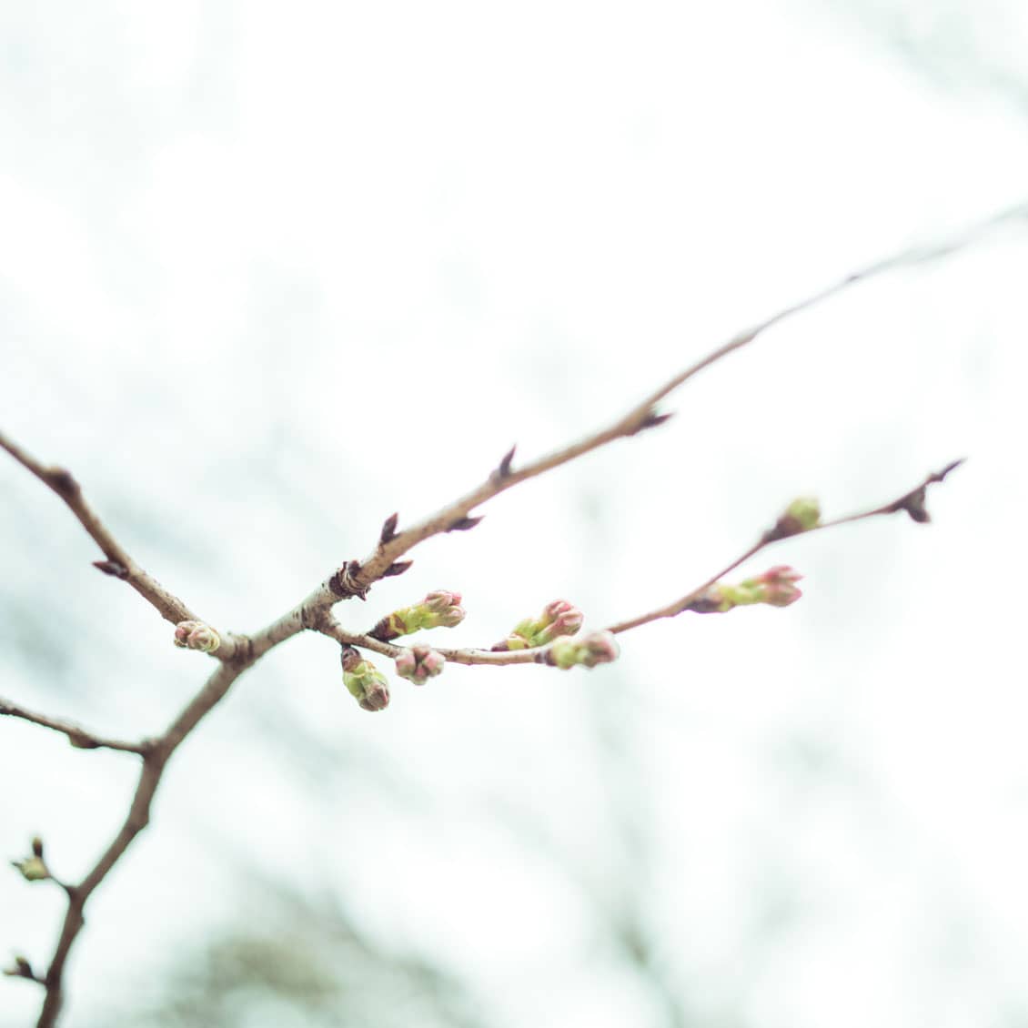 終わりは はじまり 前編 80歳まで続けたい そんなブランドを 辞める と決めて N100デザイナー 大井幸衣さん 北欧 暮らしの道具店
