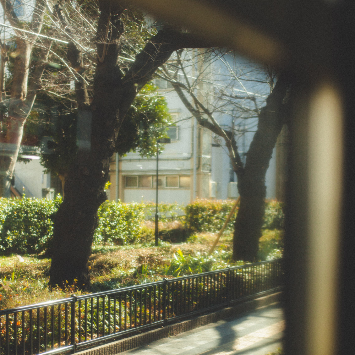 彼女が旅に出る理由 不安も苦手も山ほどある それでも何度だって旅に出たい スタッフ田中編 北欧 暮らしの道具店