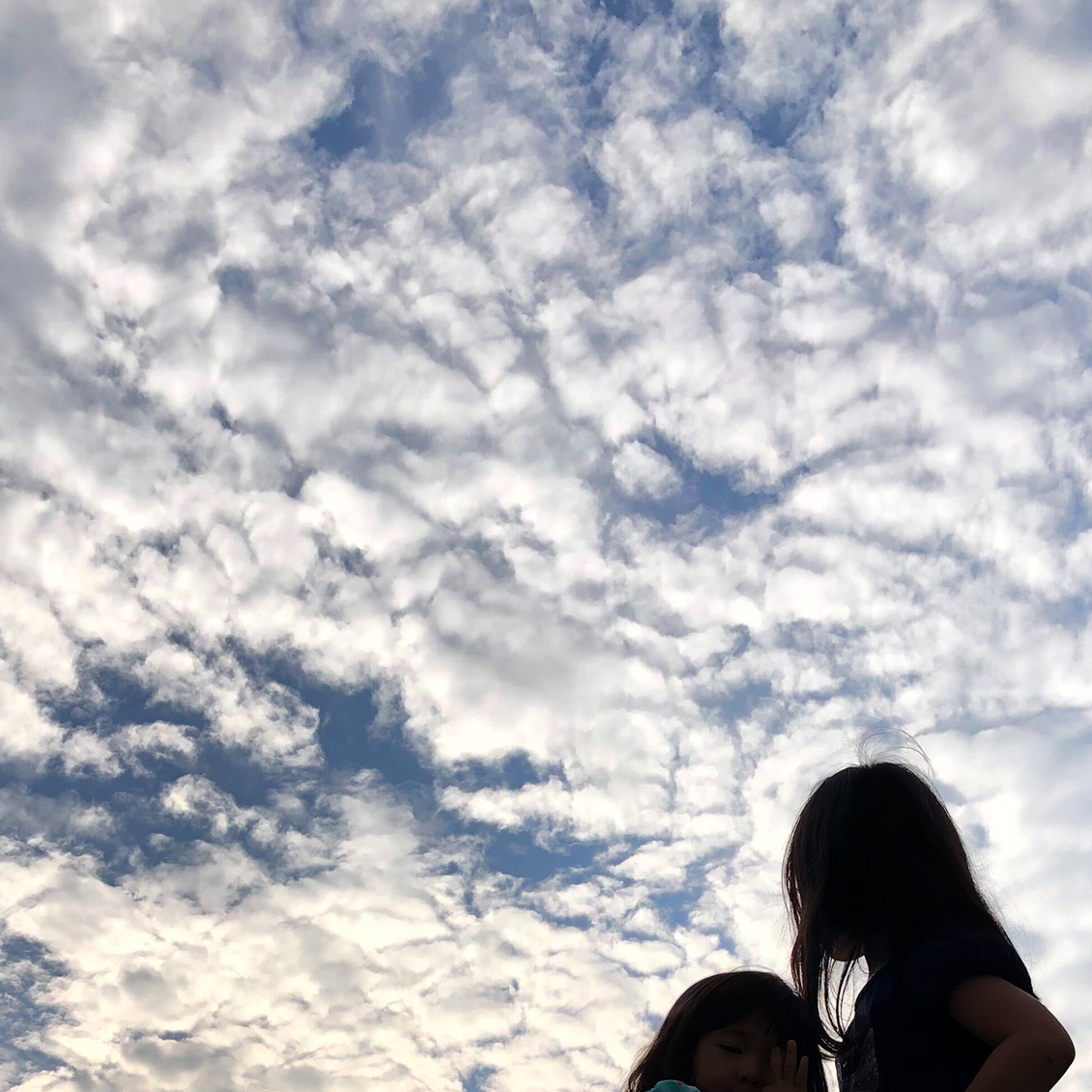 スタッフコラム 名前も知らないありがとう 北欧 暮らしの道具店