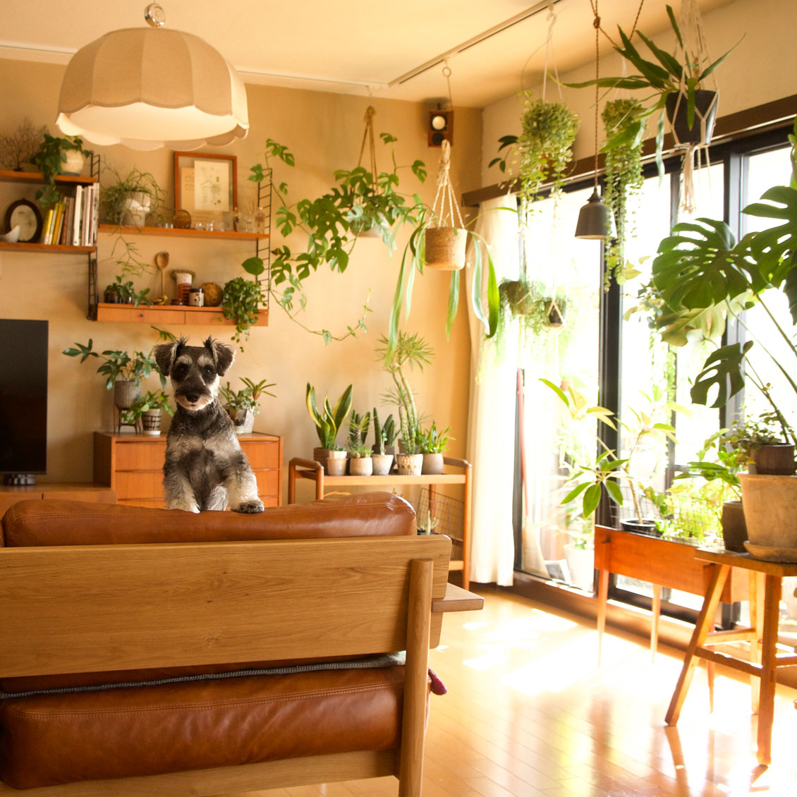 うちのイヌ うちのネコ 散歩に ごはん 家事育児 犬がいることで心にゆとりが生まれた 北欧 暮らしの道具店