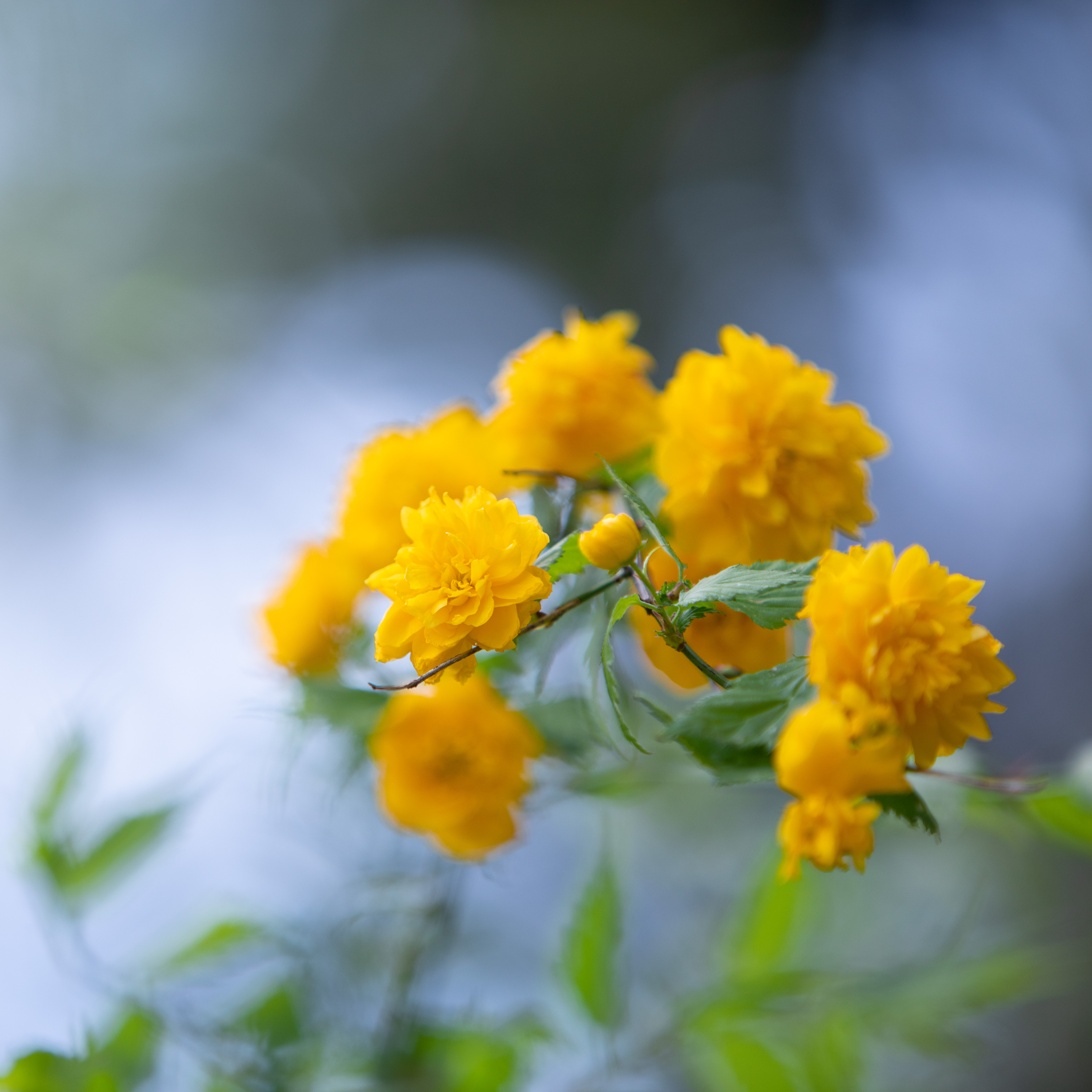 話し下手なワタシ 第3話 夫婦にとって ちょうどいいコミュニケーションとは 北欧 暮らしの道具店